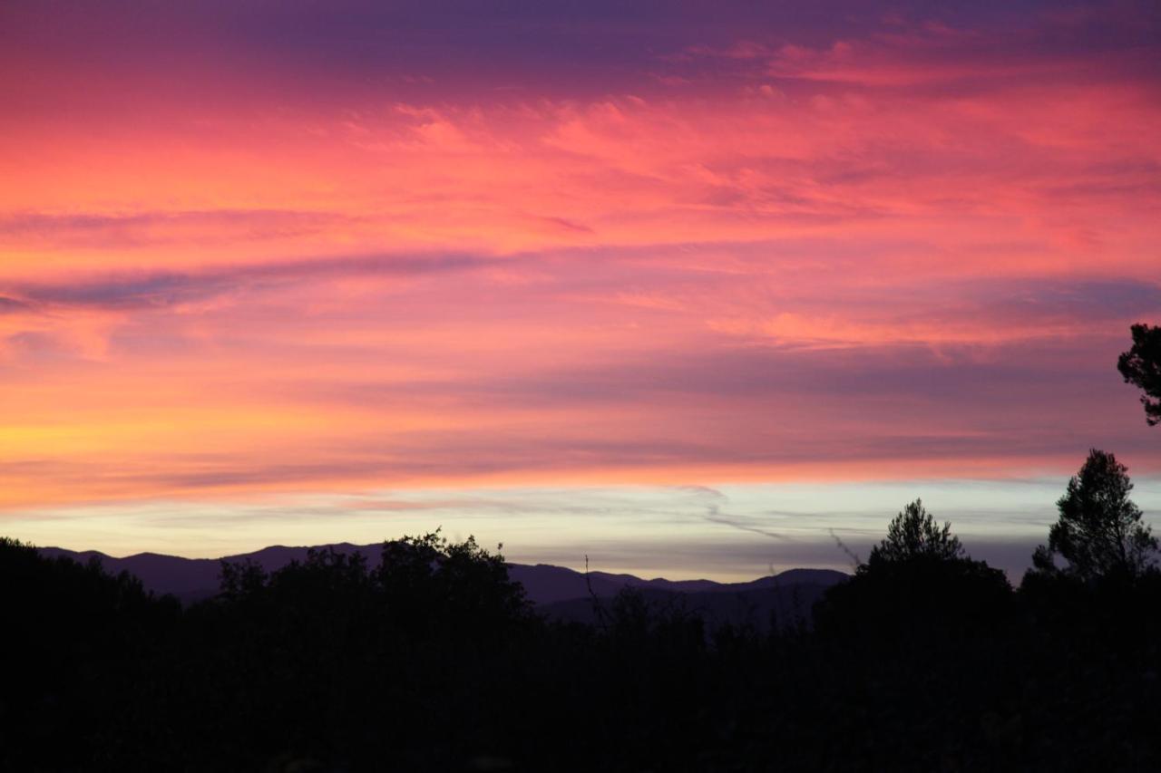 A L'Oree Des Cevennes Aigremont Dış mekan fotoğraf